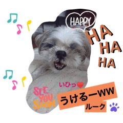 [LINEスタンプ] みことわんこ⑥