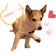 [LINEスタンプ] ちょビーちゃんaisiteru