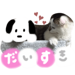 [LINEスタンプ] はーちゃんちのテオ