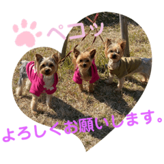 [LINEスタンプ] よーきーず1