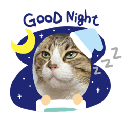 [LINEスタンプ] ぬっころスタンプ