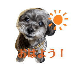 [LINEスタンプ] keyすたんぷ