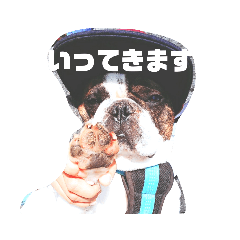 [LINEスタンプ] ベーブとしょうちゃん