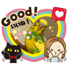 [LINEスタンプ] セキセイインコ の日常