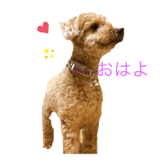 [LINEスタンプ] モカ専用スタンプ