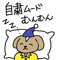 [LINEスタンプ] コタローとハルミチ コロナで大迷惑編