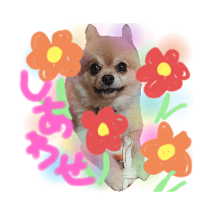 [LINEスタンプ] ポムとはるとちびです