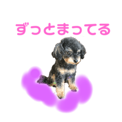 [LINEスタンプ] ぷりむすたんぷ