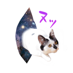[LINEスタンプ] My pet’s name is Mamedaifuku