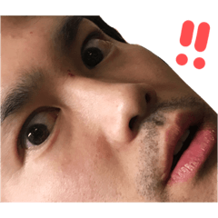 [LINEスタンプ] わいと愉快な仲間たち。