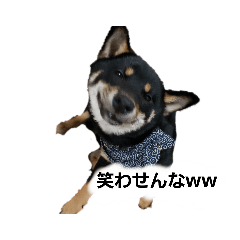 [LINEスタンプ] remu2