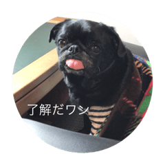 [LINEスタンプ] そらそらパワー