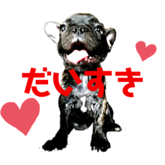 [LINEスタンプ] フレンチブル Vertu ＆ Mare