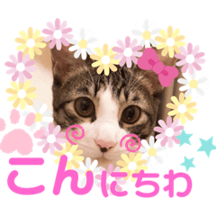 [LINEスタンプ] ミュウさん、海さん2