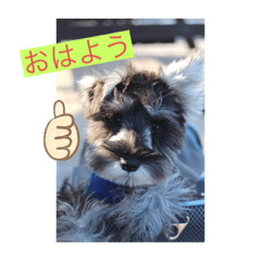 [LINEスタンプ] オレオ＆プリン