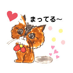 [LINEスタンプ] 癒し系にゃんこのポン太