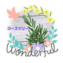 [LINEスタンプ] 癒しのハーブコレクション Part1