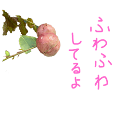[LINEスタンプ] 植物で気分上げて！
