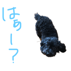 [LINEスタンプ] 動物のスタンプ 辛口