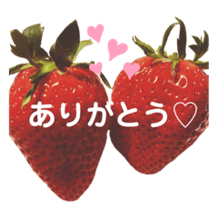 [LINEスタンプ] ある日のひとコマスタンプ