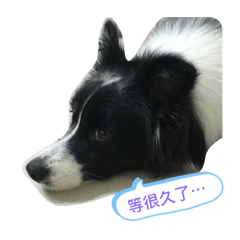[LINEスタンプ] よろこ