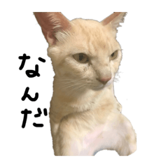 [LINEスタンプ] おっぷ