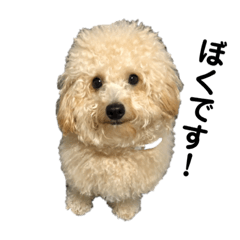 [LINEスタンプ] ぼくです！！の画像（メイン）