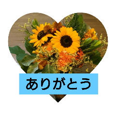 [LINEスタンプ] 大きな文字  ＆                 シンプル