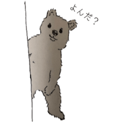 [LINEスタンプ] リアルくまスタンプ