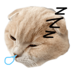 [LINEスタンプ] ファビュラスマーベラスVol.1