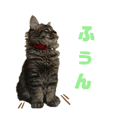 [LINEスタンプ] グリスタ vol.1