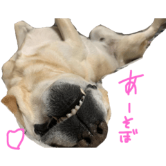 [LINEスタンプ] おまえさんスタンプ1