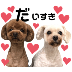 [LINEスタンプ] キャバプーとトイプードル