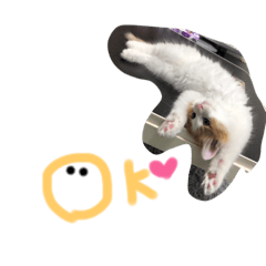[LINEスタンプ] ぽんすけ挨拶1