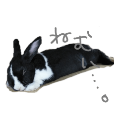 [LINEスタンプ] しらたまとあーちゃん