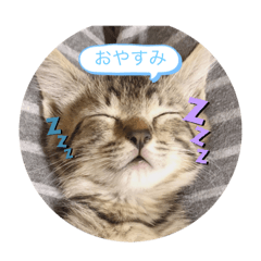 [LINEスタンプ] ぽいかなスタンプ