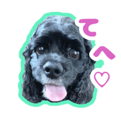 [LINEスタンプ] アメコカのリブ