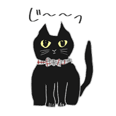 [LINEスタンプ] 黒ねこさんとトラねこさん