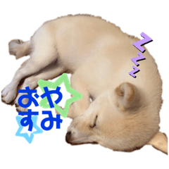 [LINEスタンプ] ボブこな3