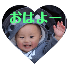 [LINEスタンプ] こたくんのいる毎日