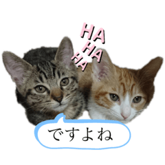 [LINEスタンプ] どんちゃん＆がんちゃん