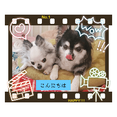[LINEスタンプ] チワワん子