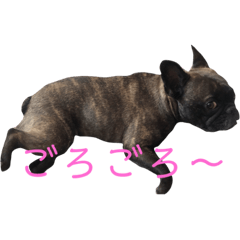 [LINEスタンプ] 福ちゃんと菊ちゃん