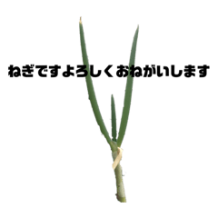 [LINEスタンプ] 自然の生き物2