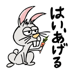 [LINEスタンプ] あにまらいふぃ