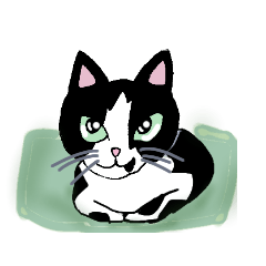 [LINEスタンプ] ハチワレ猫のうーちゃん