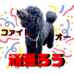 [LINEスタンプ] タルボンも一言