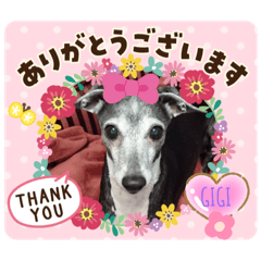 [LINEスタンプ] GIGI 2020