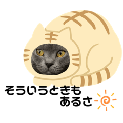 [LINEスタンプ] ももとすも2