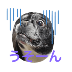 [LINEスタンプ] よねフレキャビ